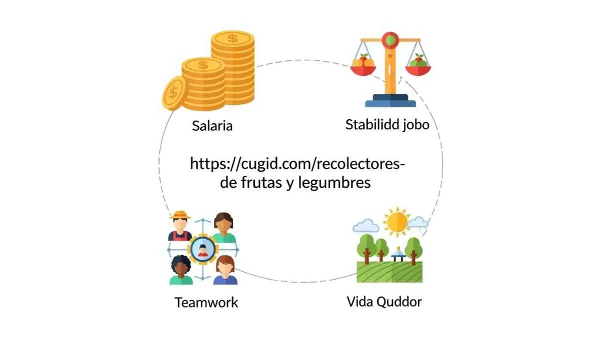 https-cugid-com-recolectores-de-frutas-y-legumbres