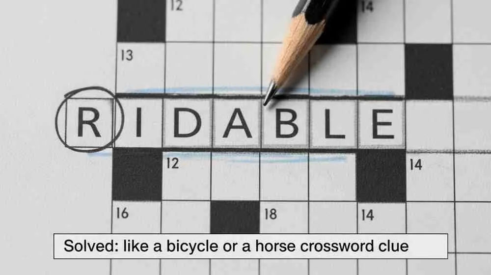 like a bicycle or a horse crossword clue