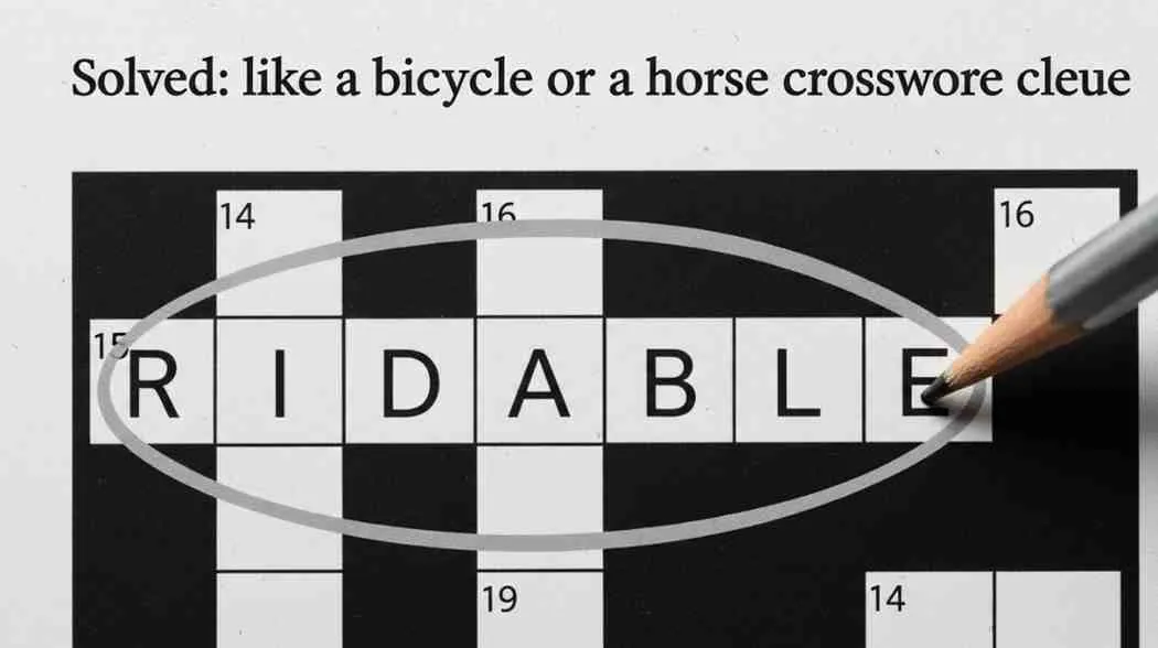 like a bicycle or a horse crossword clue
