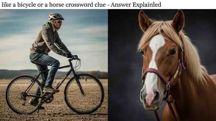like a bicycle or a horse crossword clue